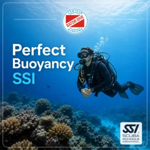 Bator Dive kurs nurkowania SSI-Perfect Buoyancy