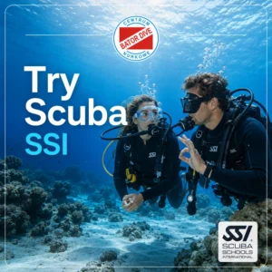 Bator Dive kurs nurkowania SSI-Try Scuba